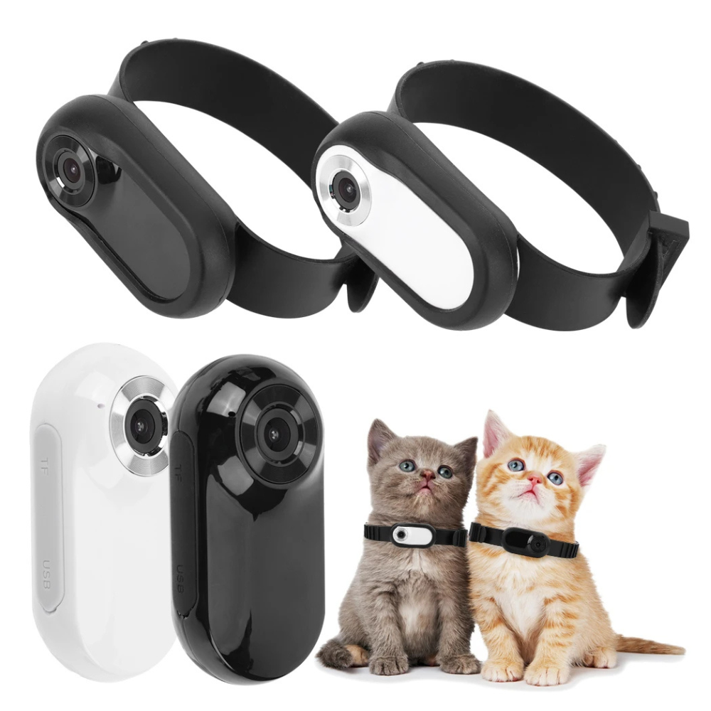 Camera Collar for Cats &amp; Dogs