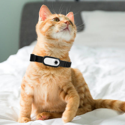 Camera Collar for Cats &amp; Dogs