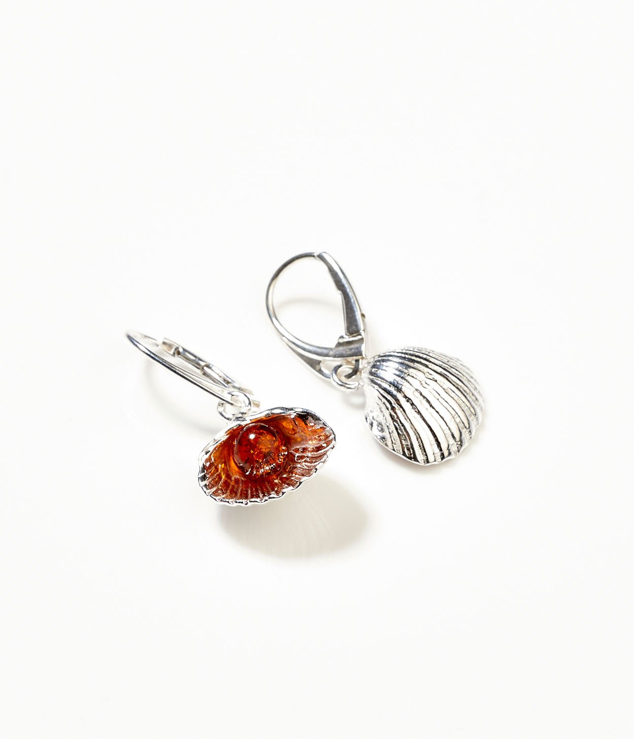 Amber Sea Shell Drop Earrings - Tucan Trading
