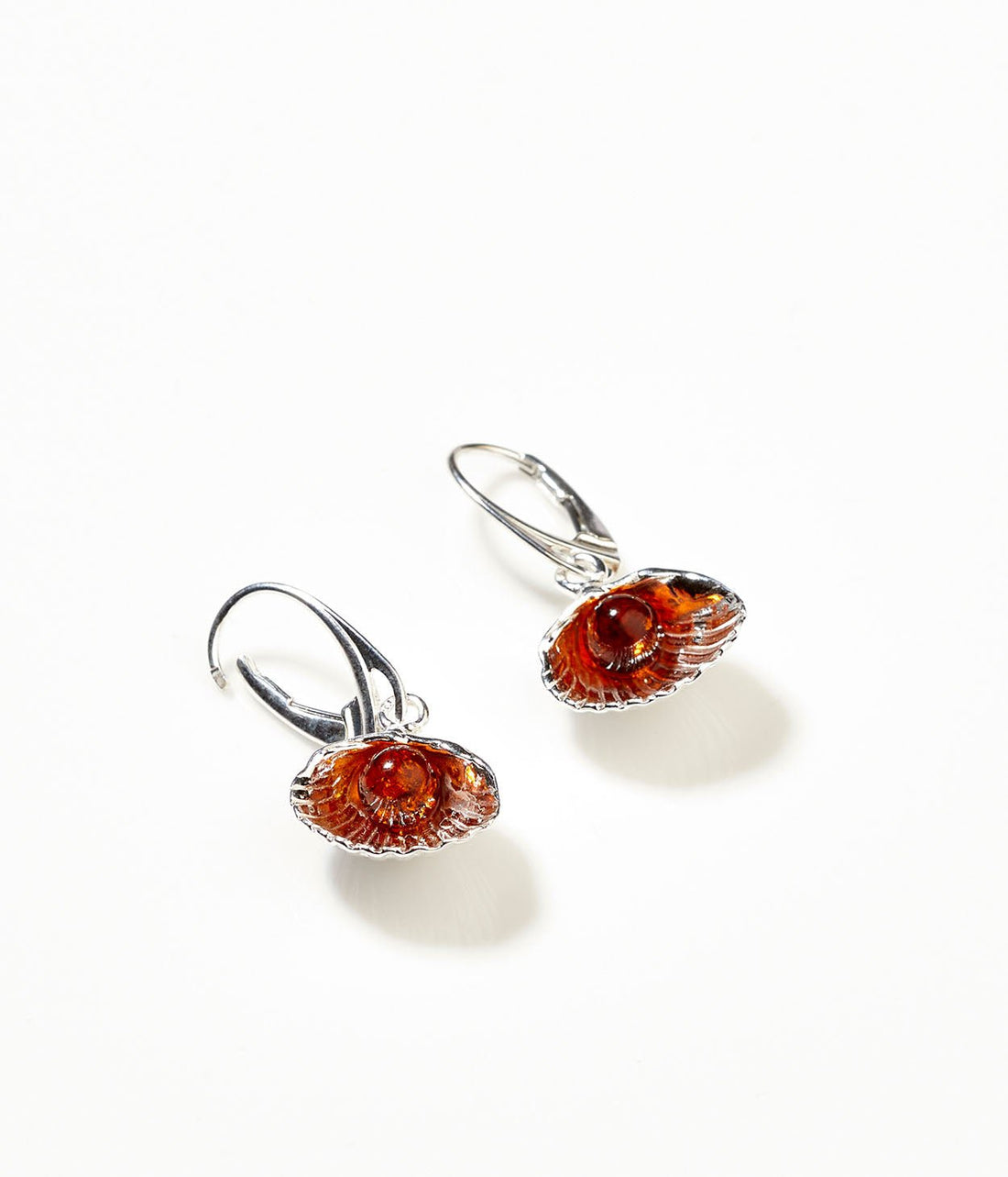 Amber Sea Shell Drop Earrings - Tucan Trading