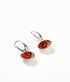 Amber Sea Shell Drop Earrings - Tucan Trading