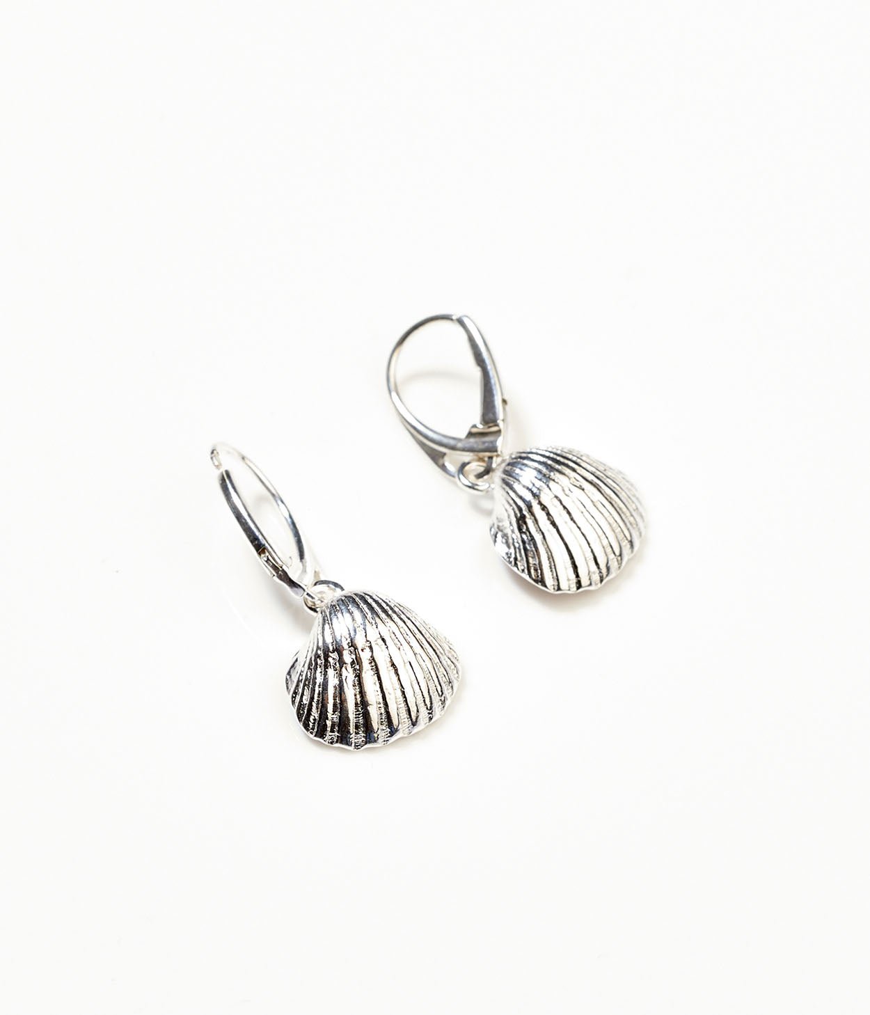 Amber Sea Shell Drop Earrings - Tucan Trading