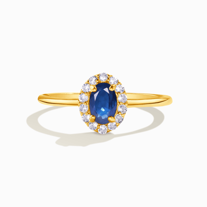 Blue Sapphire Ring in 18k Gold Vermeil - Tucan Trading