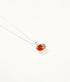 Amber Sea Shell Necklace - Tucan Trading
