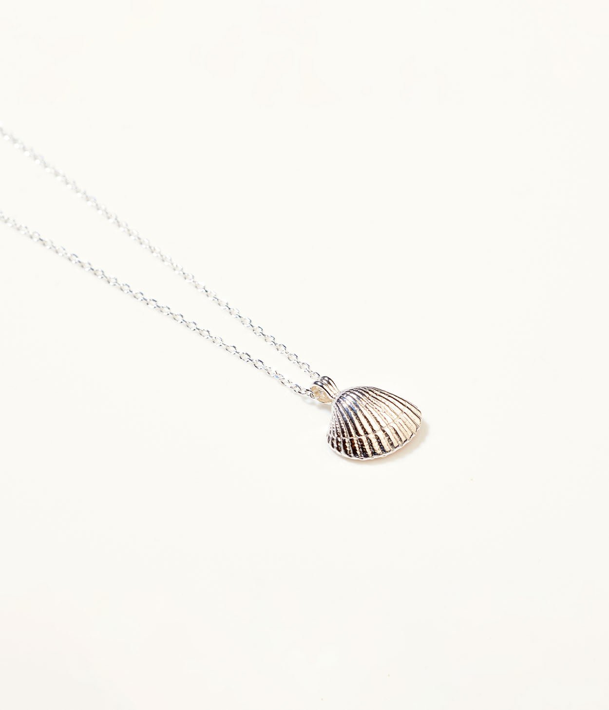 Amber Sea Shell Necklace - Tucan Trading