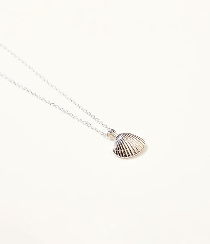 Amber Sea Shell Necklace - Tucan Trading