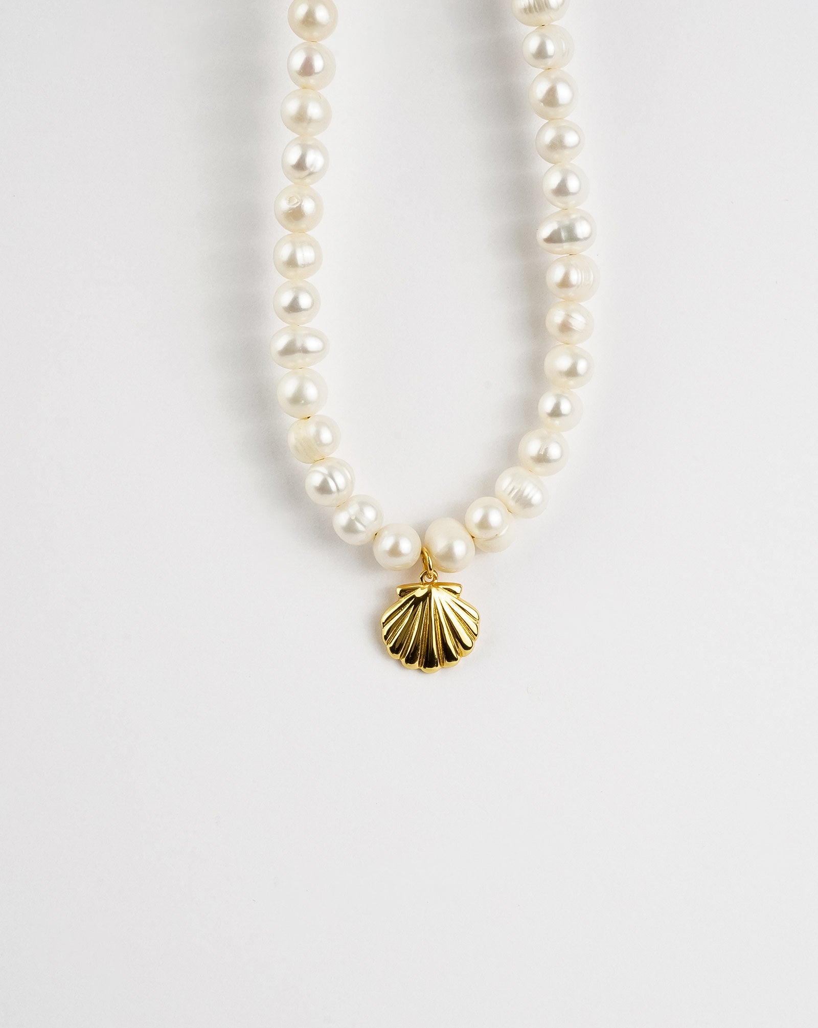 Sea Shell Pearl Necklace - Tucan Trading