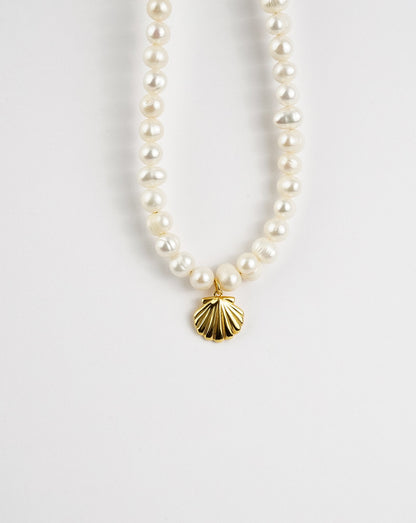 Sea Shell Pearl Necklace - Tucan Trading